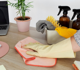 Safe home cleaning products: natural and environmentally friendly products for cleanliness and health